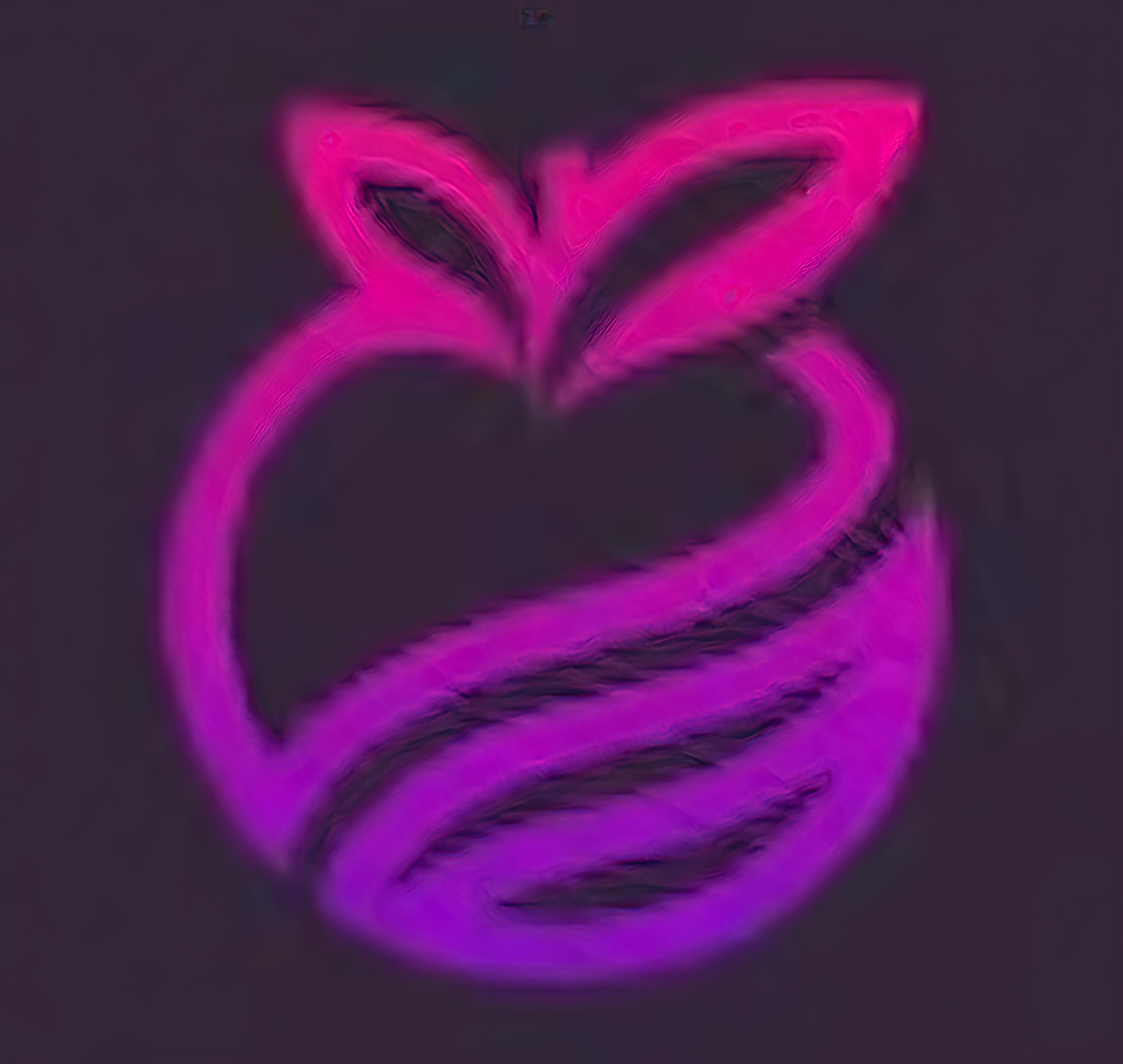 AppleWare注入器
